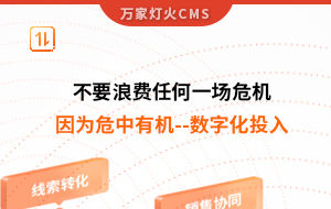 不要浪費(fèi)任何一場(chǎng)危機(jī)，因?yàn)槲Ｖ杏袡C(jī)--數(shù)字化投入
