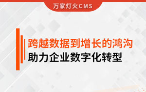 跨越數(shù)據(jù)到增長的鴻溝，助力企業(yè)數(shù)字化轉(zhuǎn)型